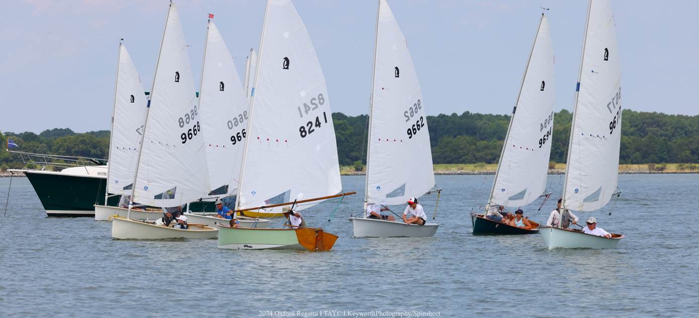 Penguin dinghies at start line of race