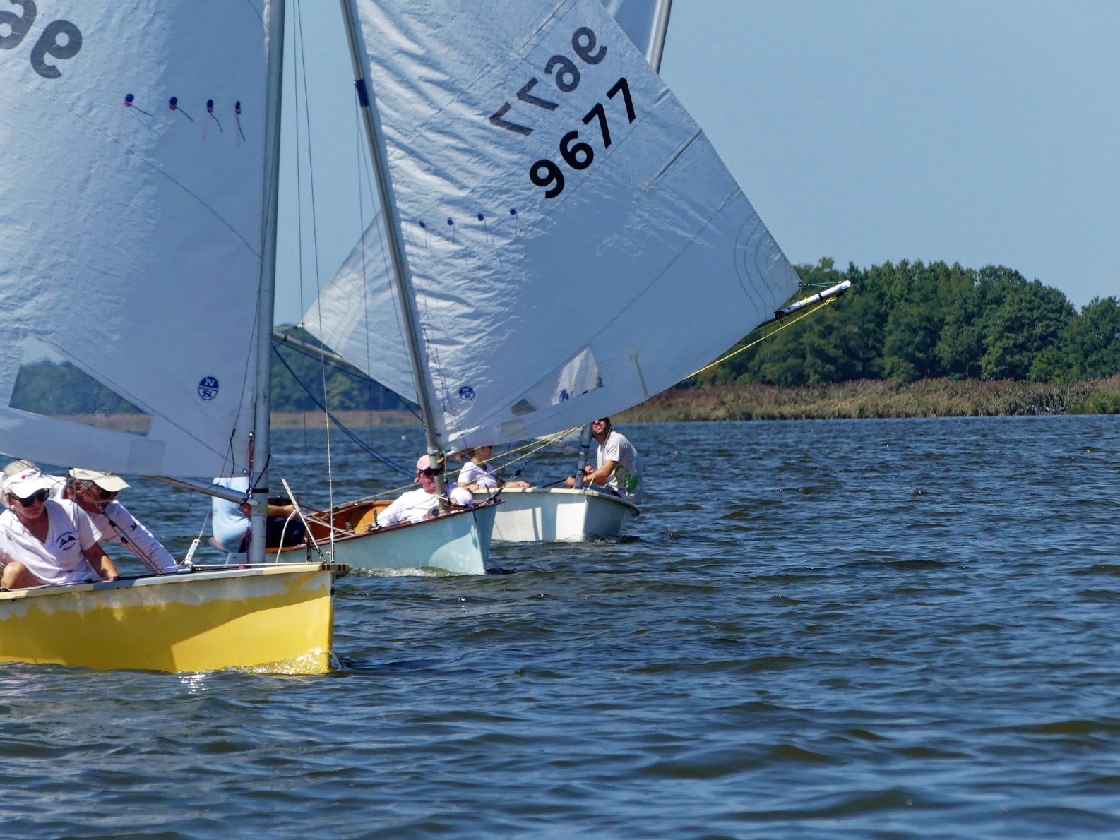 Several sailboats on a lake AI-generated content may be incorrect.